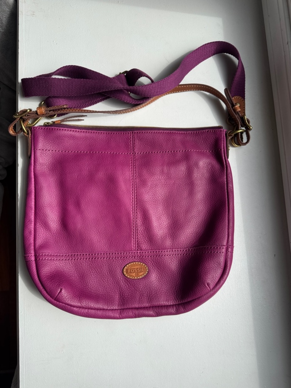 Fossil Women's Crossbody Bag in Plum